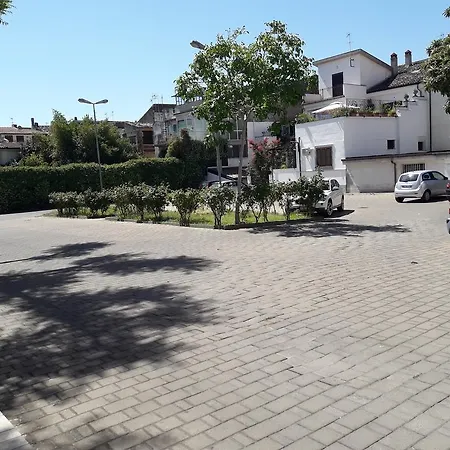 Jolly Hotel 4*